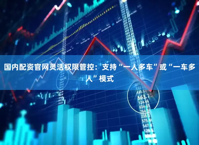 国内配资官网灵活权限管控：支持“一人多车”或“一车多人”模式