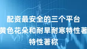 配资最安全的三个平台以黄色花朵和耐旱耐寒特性著称