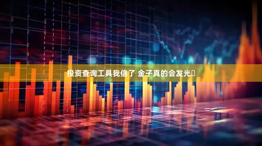 投资查询工具我信了 金子真的会发光✨